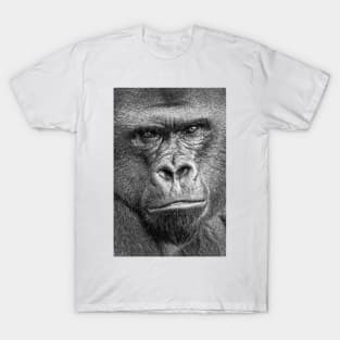 Western Lowland Gorilla Close Up B&W T-Shirt